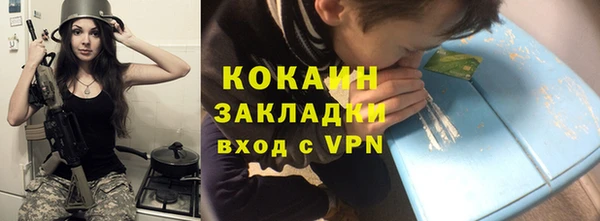 шишки Вяземский
