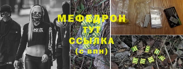шишки Вяземский