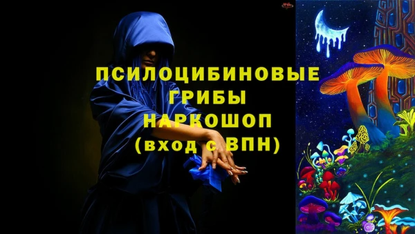 спиды Вязьма