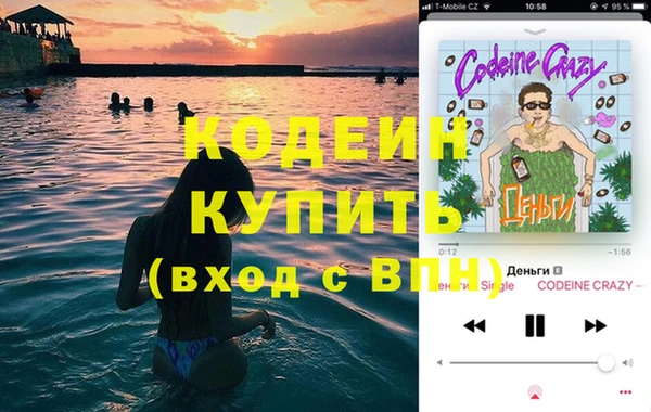 шишки Вяземский