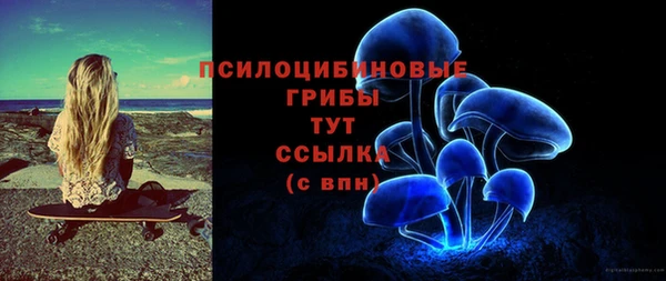 спиды Вязьма