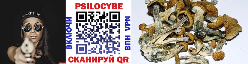 Псилоцибиновые грибы мицелий  нарко площадка формула  Каменка 