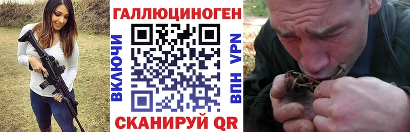 Галлюциногенные грибы Cubensis Каменка