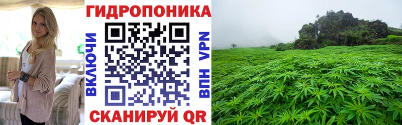 Каннабис марихуана  Каменка 